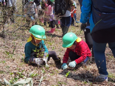 子供植樹